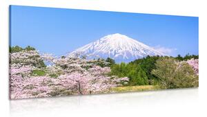 Tablou muntele Fuji