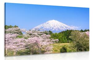 Tablou vulcanul Fuji