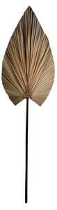 Planta decorativa Leafen Boho Pako World Natural 50x75x150 cm