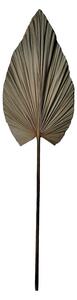 Planta decorativa Leafen Boho Pako World Natural 35x60x130 cm