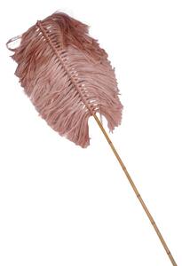 Planta decorativa Flerry Boho Pako World Natural 20x200x8 cm