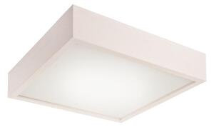 Plafonieră LED 24W/230V