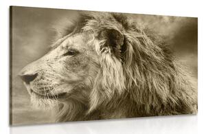 Tablou leu african în design sepia