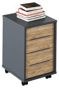 Comoda birou RIOMA NEW TYP 14, gri grafit/stejar artisan, DTD laminat/
