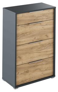 Comoda RIOMA NEW TYP 22, gri grafit/stejar artisan, PAL laminat, 75x38