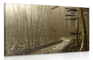 Tablou cărare sepia spre pădure