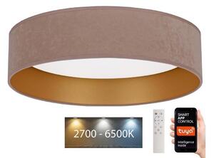 Plafonieră LED dimabilă Brilagi VELVET SMART LED/36W/230V Wi-Fi Tuya + telecomandă