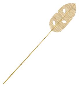 Decoratiune frunza Firwey Natural H200 cm