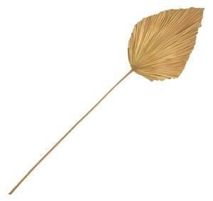 Decoratiune frunza Walsy Natural H135 cm