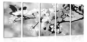 Tablou 5-piese floare de cireș în design alb-negru
