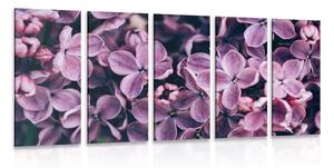 Tablou 5-piese flori violete de liliac