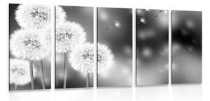 Tablou 5-piese păpădie pufoasă în design alb-negru