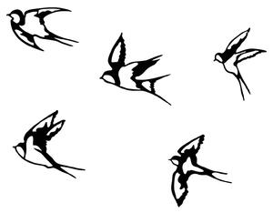 Set 5 decoratiuni perete SWALLOWS-303, negru, metal