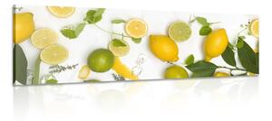 Tablou amestec de fructe citrice