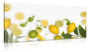 Tablou mix de fructe citrice