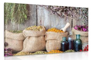 Tablou plante medicinale