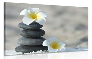 Tablou pietre armonice și floare plumeria