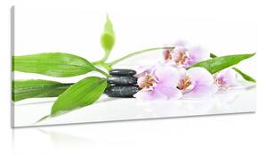 Tablou natura moartă cu pietre Zen