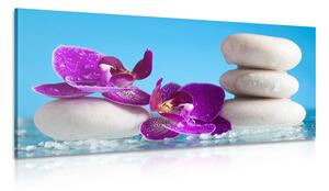Tablou wellness natura moartă