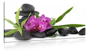 Tablou orhidee violetă în natura moartă Zen