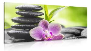Tablou compoziție Zen tropicală