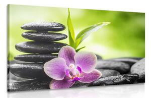 Tablou compoziție Zen meditativă
