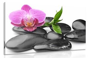 Tablou pietre wellness de masaj