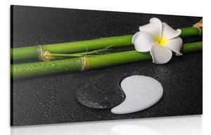 Tablou Spa natura moartă și pietre Yin și Yang