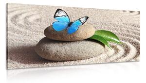 Tablou fluture albastru pe piatră Zen