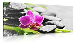 Tablou natura moartă wellness cu orhidee violetă