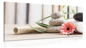 Tablou natura moartă meditativă și wellness