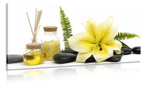 Tablou crinul și wellness natura moartă