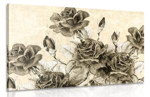 Tablou buchetul de trandafiri vintage în design sepia