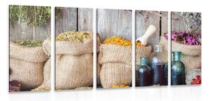 Tablou 5-piese plante medicinale