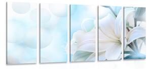 Tablou 5-piese floare albă de crin pe fundalul abstract
