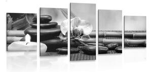 Tablou 5-piese natura moartă Feng Shui în design alb-negru