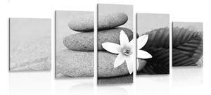 Tablou 5-piese floare și pietre în nisip în design alb-negru