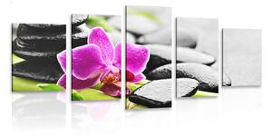 Tablou 5-piese natura moartă wellness cu orhidee violetă