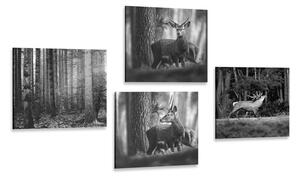 Set tablouri animale de pădure în design alb-negru