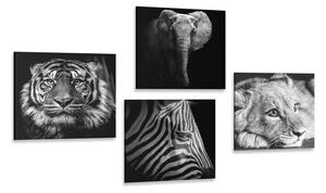 Set tablouri animale sălbatice în design alb-negru