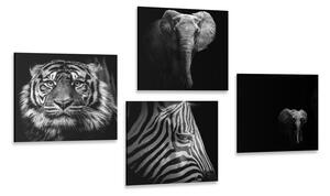 Set tablouri animale în stilul alb-negru