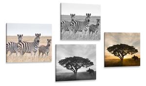 Set tablouri animale trăitoare în Savannah