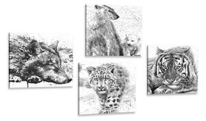 Set tablouri animale în design alb-negru de acuarelă