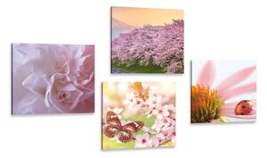 Set tablouri înflorirea naturii