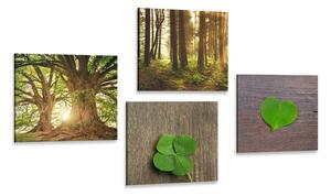 Set tablouri briza naturii