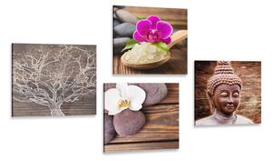 Set tablouri Feng Shui în design natural