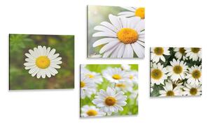 Set tablouri flori magice