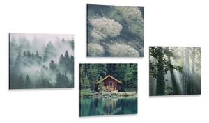 Set tablouri frumusețile naturale