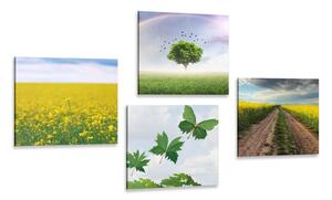 Set tablouri natura orbitoare