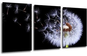 Impresi Tablou Dandelion black and green - 120 x 60 cm (3-piese)